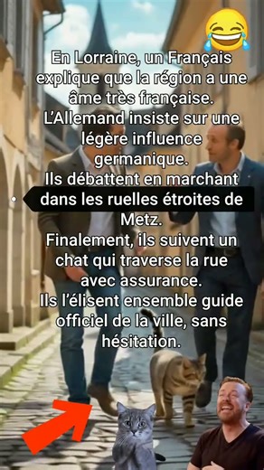 Le chat-guide de Metz #humour #lorraine #metz #franceallemagne #chatguide #shorts