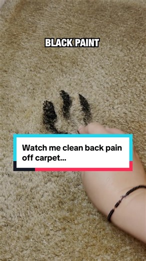 Effective Carpet Cleaning Techniques