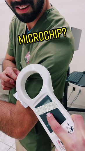 Understanding Pet Microchips: Exploring the Facts and Myths