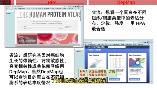 A-1 如何了解目的蛋白的表达丰度情况？