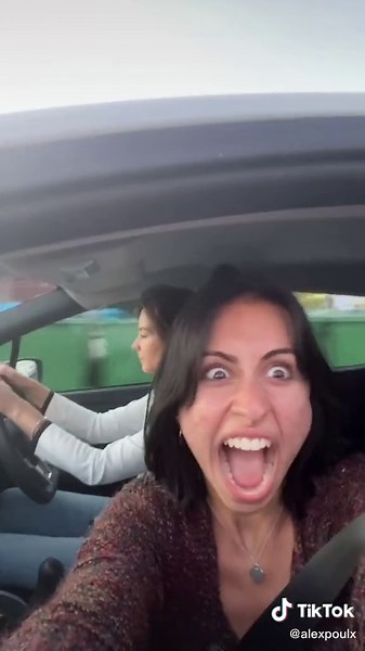 Peeing Turtle Car Accessory: Funny Public Moments