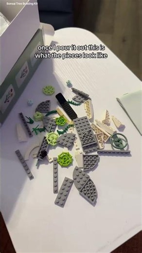 This Bonsai Tree Building Kit did not come to play!!! Let’s see if i ever finish it!