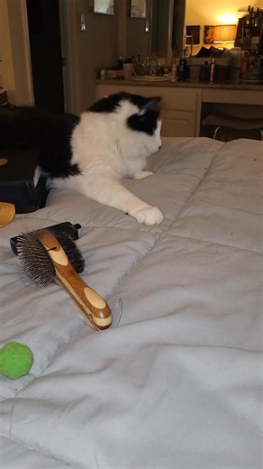 Nothing, just nothing from these two tonight. | Kelly Smith