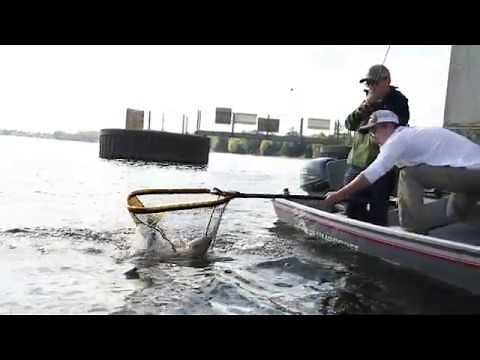 Trophy Haul Net features with Charlie Davis 🎣