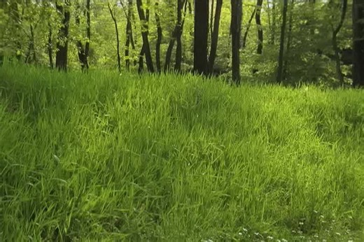 Leslie Hall: Tight Pants and Body Rolls Comedy