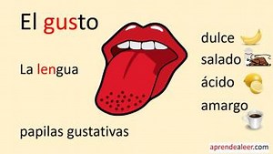 EL GUSTO - SABORES