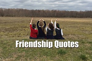62K views · 445 reactions | The company of friends is the best company ever. You share your joys, sorrow and your moments of life. Dedicate some awesome friendship quotes to all your friends. True Friendship rocks! | Friendship Quotes | Facebook