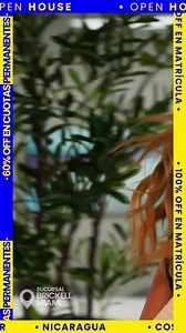 🌟 Empieza el 2025 aprendiendo otro idioma. 🎉 Open House: matrícula gratis y 60%OFF en cuotas permanentes. 👩🏼‍🏫 Clases presenciales o virtuales 100% en vivo con profesores de todo el mundo. ✅ Incluye garantía por escrito de resultados. 👉 Haz clic en “Más información” y comienza tu cambio ahora. | Academia Europea