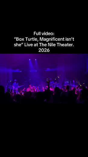 Box Turtle Magnificent live at The Nile Theater 2026