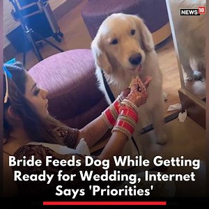 22K views · 190 reactions | In the now-viral video shared by makeup artist Simar K on Instagram, the bride Divya takes a break while getting dressed for her wedding and feeds biryani to her pet dog Buzo. #viralvideo #bride #dog #petdog #doglover #animallover #makeup #wedding #shaadi #bridalmakeup #indianwedding | News18 | Facebook
