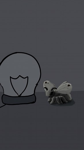 Rare doodle | moth #animation | Instagram