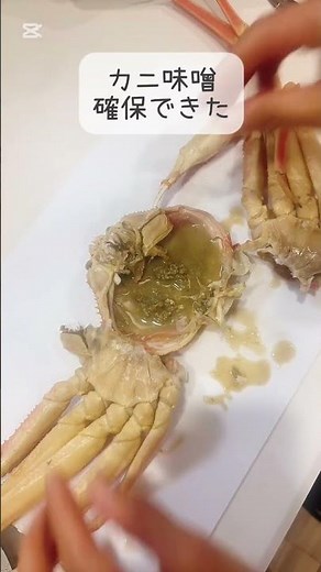 【松葉ガニの食べ方】ふるさと納税のボイル松葉ガニ、カンタンにおいしく食べる方法は？