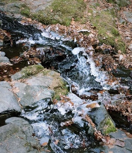 九頭龍神社(東京檜原村) | 九頭龍の滝📷️1/25撮影 #氷瀑 数年ぶりの寒波で滝が凍り始めております。 今の時期しか見られないとても神秘的な景色です。 ぜひ参拝にお越しください。 ※都道は乾いておりノーマルダイヤでも問題ありません。 厄除け、心願成就、神恩感謝等、個別祈願祭は5000円より承ります。... | Instagram