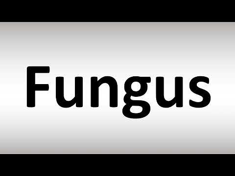 How to Pronounce Fungus