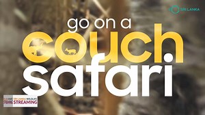 13K views · 54 reactions | Walk on the wild side as you embark on a virtual safari of Sri Lanka's wildlife parks. Sit back and join the ride when visiting the luscious parks of Minneriya, Kaudulla, Udawalawe and Yala with our expert narrators. https://bit.ly/31nUr59 More details coming soon...Stay Tuned! #couchsafari #sltourism #srilankansafari #seenowvisittomorrow | Tourism Sri Lanka | Facebook