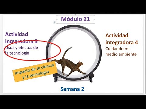 MÓDULO 21 ▶ Semana 2 ▶ Actividades integradoras 3 y 4