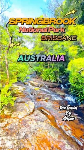 🌄 Springbrook Canyon Lookout | Hidden Paradise near Brisbane 🌿✨ #travel #travelshorts