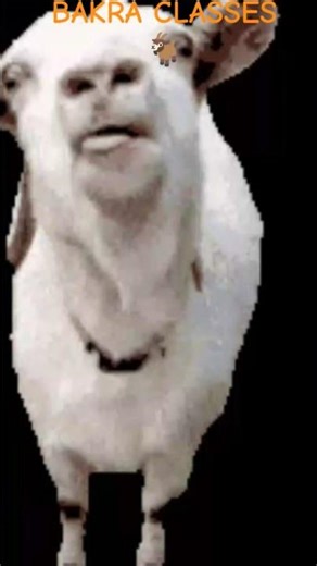 Geography class 12 CHAPTER 4 WITH BAKRA CLASSES ONE SHORT