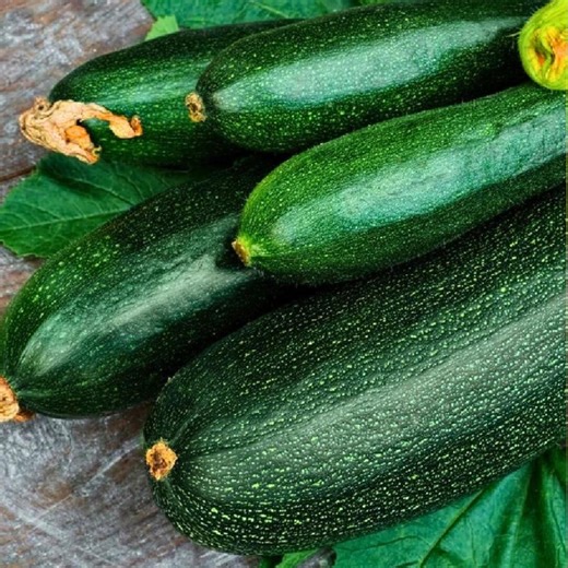 Dark Green Zucchini Summer Squash Seeds, NON-GMO (25 Seeds) - Etsy