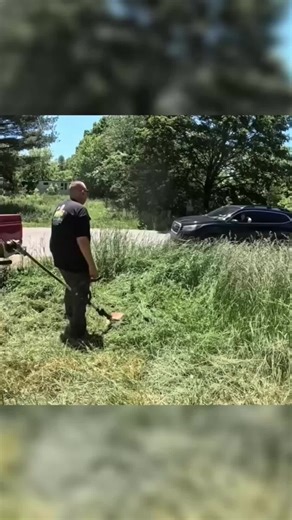 Understanding the Consequences of Complaints in Lawn Care