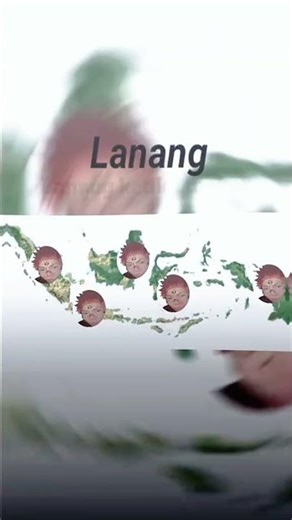 siapa nih yang punya temen beda pulau?🗿
