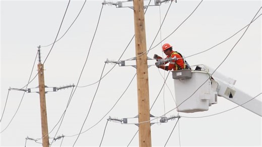 Severe thunderstorm leaves trail of damage in Ottawa area