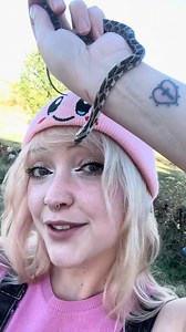 3M views · 32K reactions | WE FOUND ANOTHER SNAKE! This one is a HARMLESS, NONVENOMOUS baby rat snake! I always recommend learning the native species in your area so you know what is venomous and what isnt. Of course, a great option is always just calling a professional if you find a snake on your property! (just make sure they’re the kind that will re-release the snake in an appropriate area!) #snake #reptiles #reptile #wildlife #rescue | CatAleah | Facebook