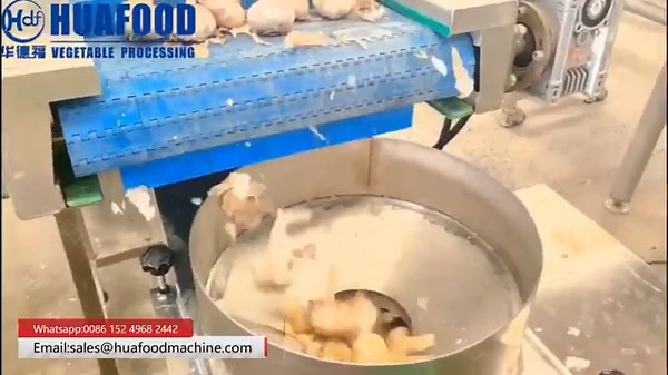 Automatic Garlic Paste Production Line-Garlic Paste Making Manufacturing Process