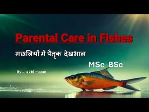 Parental care in fishes | मछलियों में पैतृक देखभाल | MSc fish and fisheries | BSc zoology | Notes