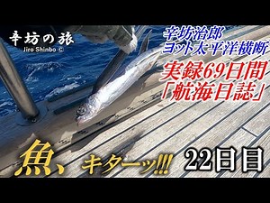 Flying fish jump onto the deck!! & Raising the mainsail Jiro Karafuto's 69-day yacht trip across ...