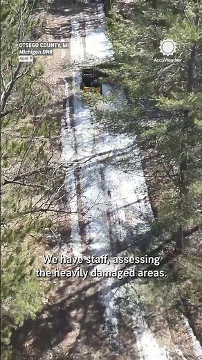 3 Million Acres of Forest Damaged After Michigan Ice Storm