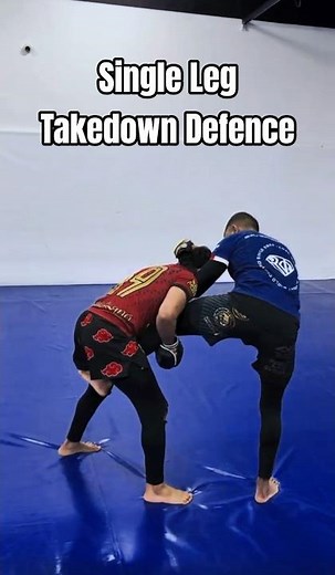 Single Leg Defence Chain - Wrestling Drills #mma #wrestling