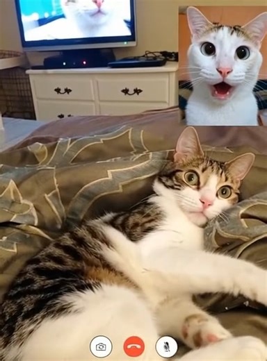 Oh my god 🥹🥹🥹 | Feedy