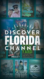 Uncover the beauty and diversity of Florida with our all-new streaming platform. Start your 7-day free trial and gain access to captivating documentaries, gripping series, and exclusive originals that showcase the Sunshine State's rich culture, history, and natural wonders. | Discover Florida Channel