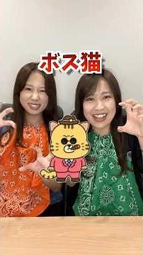 [Love Type 16] LCRO Boss Cat's Characteristics Explained!!