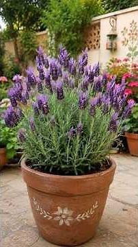 Top 3 Must-Have Plants for Every Home Garden! 🌸🌿