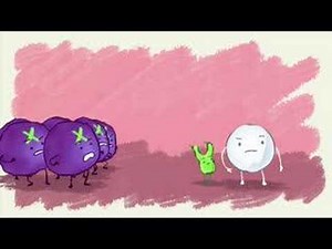 ADCC the kiss of death for tumor cells