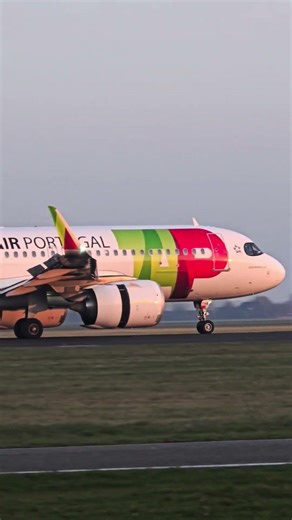 ✈️🇳🇱 Beautiful TAP Portugal Airbus Spotting at Amsterdam Schiphol Airport #shorts #aviation