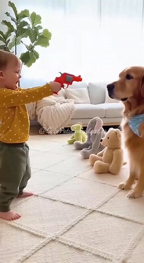 One ‘Bang!’ And The Dog Goes FULL Hollywood 😂🤣🐶💥 #PetComedy #funny #funnydogs #funnypets #funnyreels #cute | Cute Pets Comedy