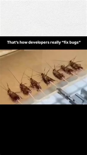 Daily World Clips on Instagram: "The video represents how developers “fix bugs” in software by showing actual insects (cockroaches) being aligned and eliminated with a tool. In programming, a “bug” refers to an error or flaw in code that causes unexpected behavior. The joke comes from the double meaning of the word “bug,” comparing software bugs to real insects. In reality, debugging involves analyzing code, testing functions, and finding logical errors—not physically destroying insects. The ima