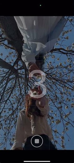 Blossoms and BFFs: Spring Sun Trips