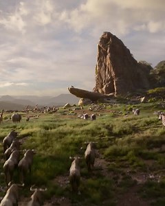 Experience the difference when you see #TheLionKing in #IMAX theatres with custom immersive sound and the clearest images. Reserve your seat. | The Lion King