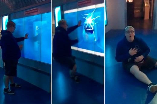 Shark-attack prank knocks victim off his feet