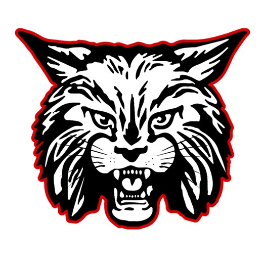 Fallon Bullan Game Report: @ Cornerstone Christian   How To Watch