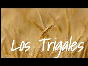 Los Trigales - El Camino Del Huerto