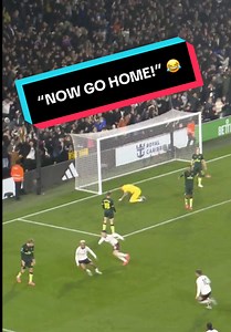 Pure passion 😭 #fulham #premierleague | Fulham