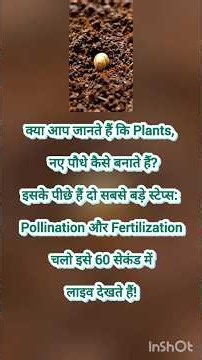 Pollination and Fertilization in Plants | Types, Biotic & Abiotic Factors Explained ‪@plantwonder‬#yt