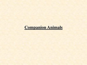 Companion Animals - SlideServe