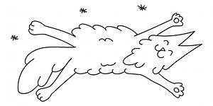 Mobile Cat Grooming Services | Catskingdom