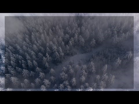 Whole Heart (SNOWBLAST 2024)